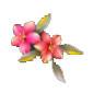 7_1_arnusha