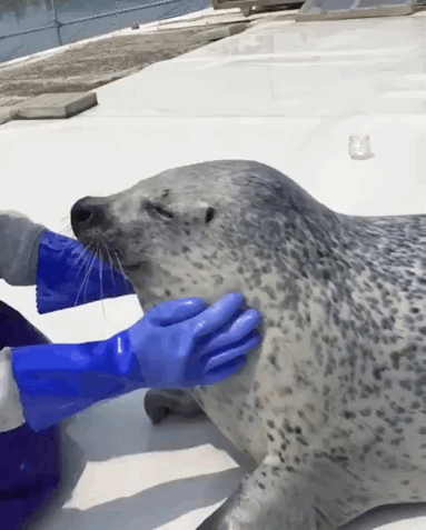 tmp_cleverpub_1c7c2f09812d45ba41950687193ebacf