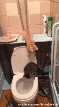 3063347cc058138ffc69de242bafbe66