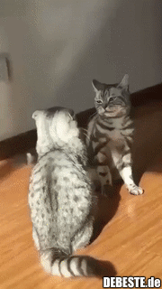 f7415deb2393aad4ade9a5b45ea27531