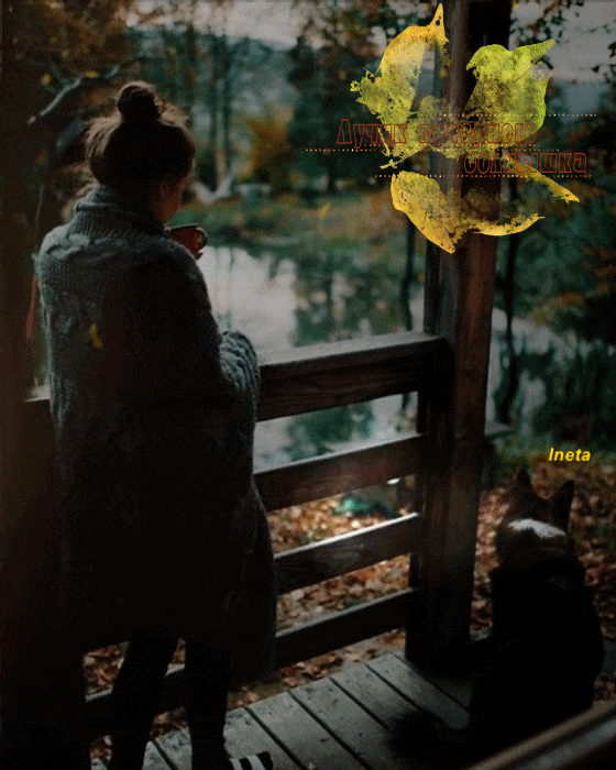 ezgif-5-d4fa6969f0 (1)ineta