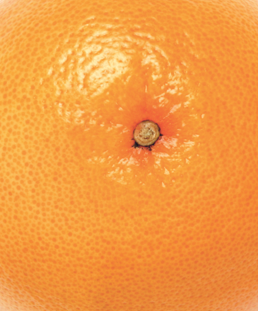 0_18b1e7_4f2c6257_orig