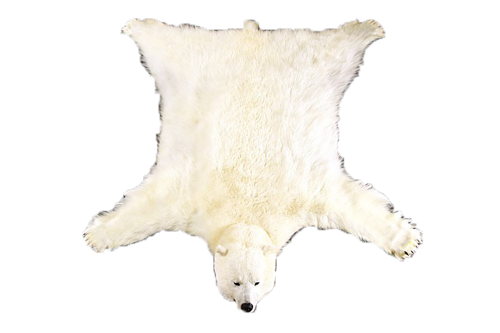 0_d8701_ac66e10a_orig