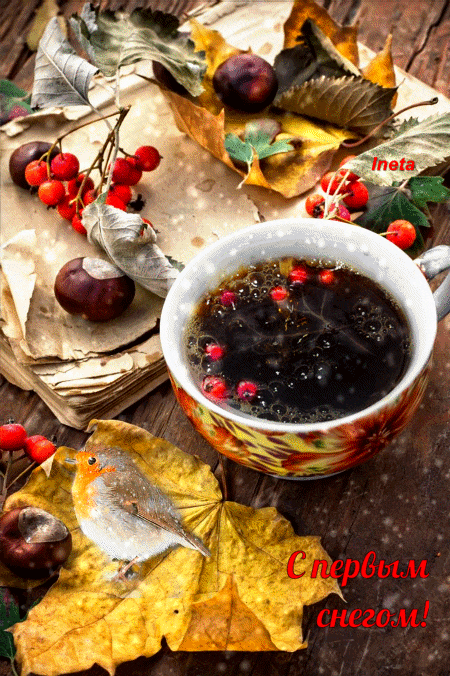 ezgif-5-409d35cd6d (1)