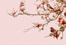 fon_9_3_1_arnusha