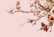 fon_9_3_1_arnusha
