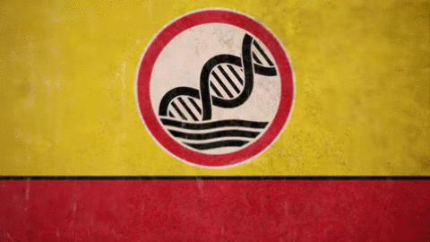 gene_pool