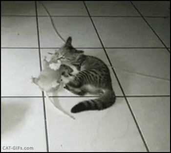 30530d09465db5ebcba3541798b9ca44