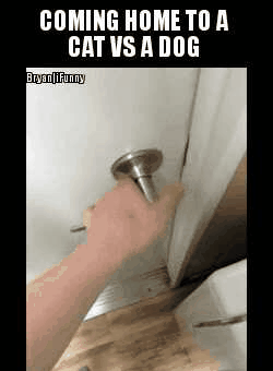 32359da8413bff076f68acdacec04da9