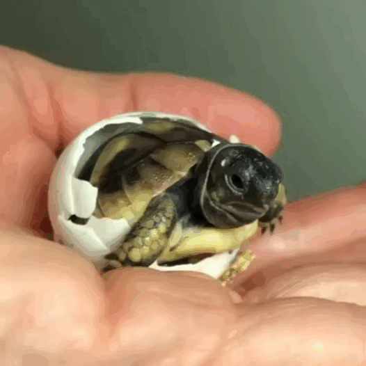 057f3190df51154d2350367d297e259c_267791_1536002676