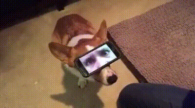 tmp_cleverpub_b27fe02e9865b3881471d0d06779788c