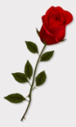fon_5_3_arnusha