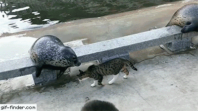 fcc6451fe07689002ac2c6e87835e712