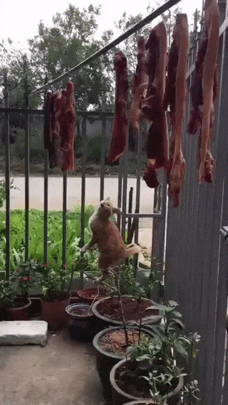 12d5a36d839f289647957e840eea34e8