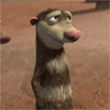 opossumy_2_3