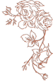 fon_4_5_arnusha