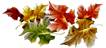 fon_5_4_arnusha