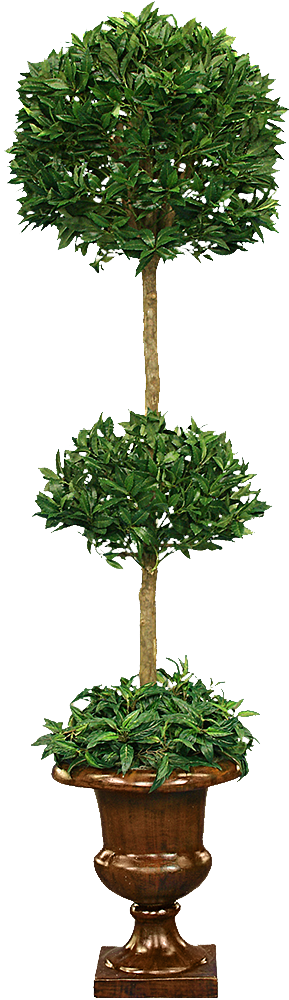 4e2a4b64837bf86d8092bc25bf8dc1a5