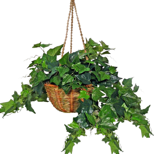 62ba67b4ebd1512051d8478791f4a051