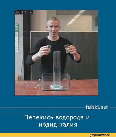 D0B3D0B8D184D0BAD0B8D185D0B8D0BCD0B8D18FD0BDD0B0D183D0BAD0B0D0BFD0B5D0BDD0B0670279