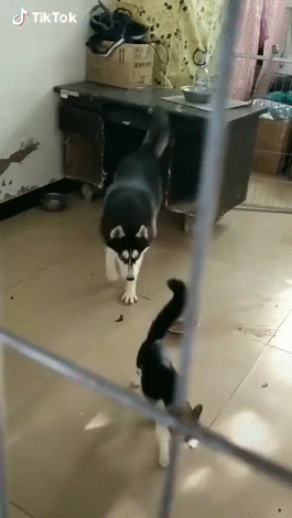 5b8495d9f8c4b4ee5290a2dbc1a8fab2