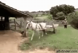 27c9d6206eade7a2bc1b96ef6b146d2b