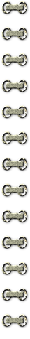 fon_5_1_arnusha