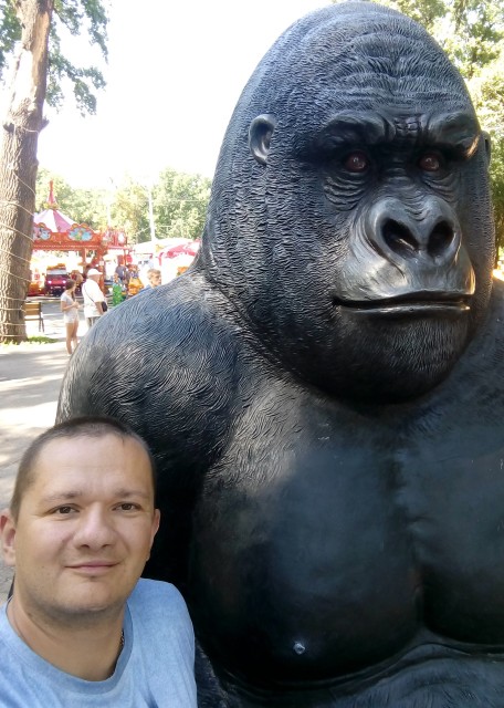 IMG_20180811_143136_1