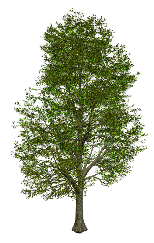0_a684b_1936ecd5_orig_yapfiles.ru