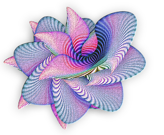 34