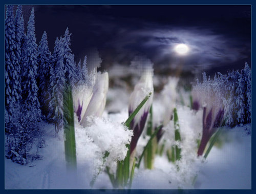 _var_www_temp_11_59_21_feVK0XY03HPnYKa