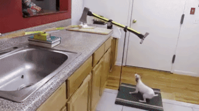 4a7338786ea8c0cf5bcf74f2a8e37542