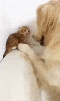 9b724d8a6a68c785596b7dbacceb3b05