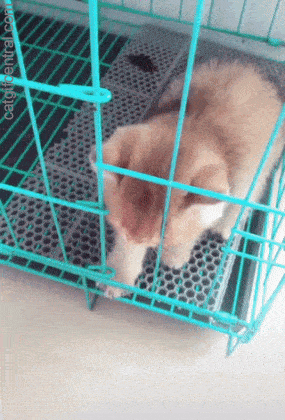 7d8f13b5ae5f9d46909d439777687af3