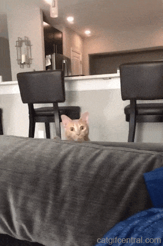 77e2bec0ba1e003090c15f5962fa1a70