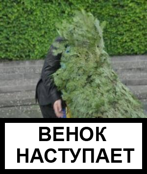 Вінок