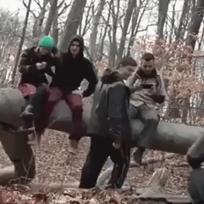 друг