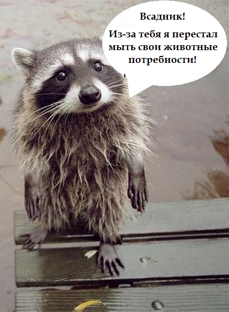 дуэль