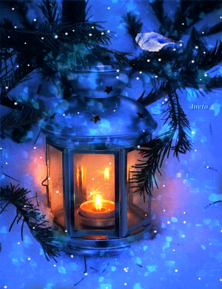 1540910216443384ineta