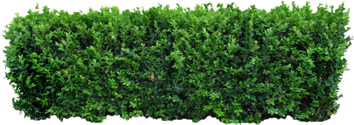 0_6ab2e_8f953ac6_L_zpsf4ee6c59