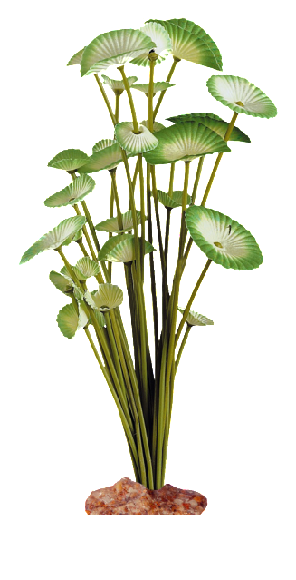 0_17d63e_fbb5d5_orig