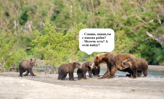 post-3-12993056378939