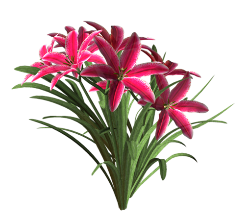 0_71133_120c6ad9_L_zpsb273ffba