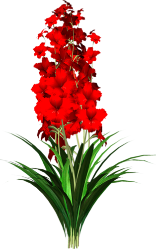 0_71144_665fad15_L_zpsa6564674