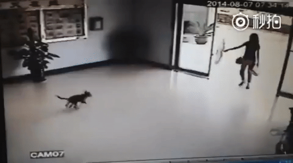 Сбой в матрице