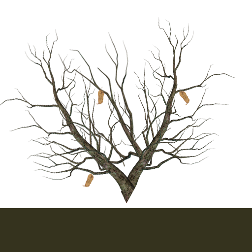 97