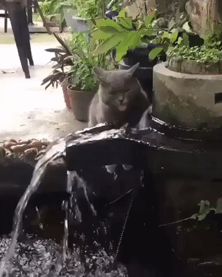 Бесконтактно пьем воду