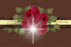 _2_arnusha