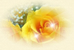 _2_arnusha