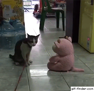 81e0799205018df0e021ccf8bb87e3ed